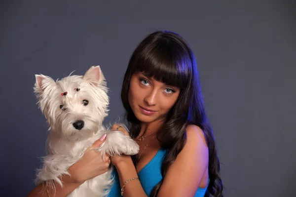 Küçük beyaz bir köpek ile kız — Stok fotoğraf