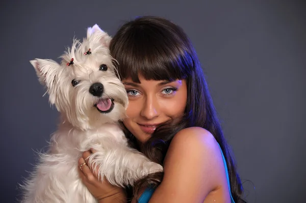 Девушка с маленькой белой собачкой — стоковое фото