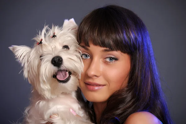 Девушка с маленькой белой собачкой — стоковое фото