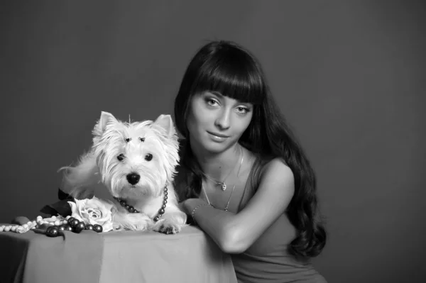 Chica con un perrito blanco — Foto de Stock