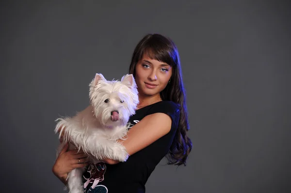 The young beautiful woman with a maltese — Stock Photo, Image