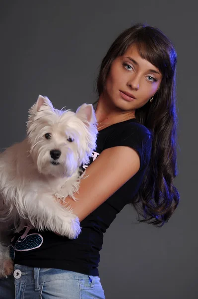 The young beautiful woman with a maltese — Stock Photo, Image