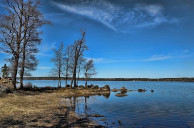 Solar morning on lake clipart