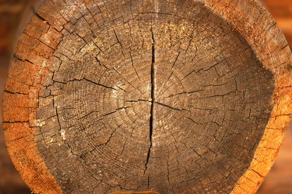 Círculo de madera —  Fotos de Stock