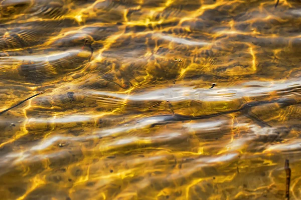 Reflexiones sobre el agua —  Fotos de Stock