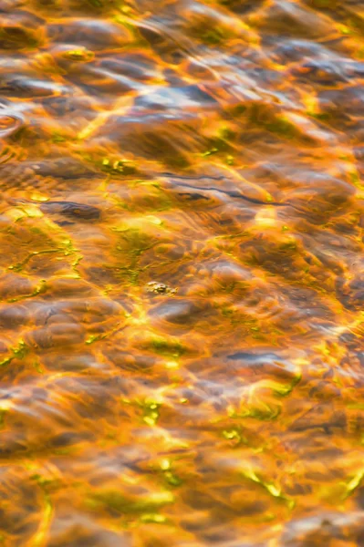 水の反射 — ストック写真