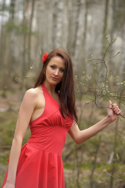 Morena en un vestido rojo —  Fotos de Stock
