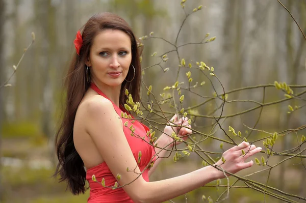 Brunette in a red dress — Stock Photo, Image