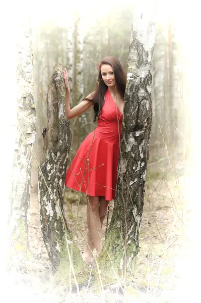 Brunetka v červených šatech — Stock fotografie