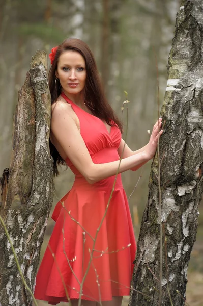 Брюнетка в червоній сукні — стокове фото