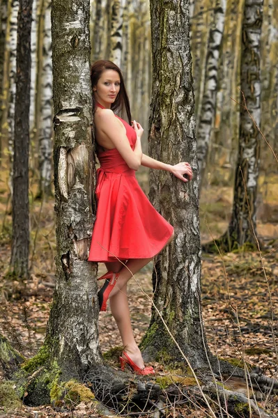 Brunette in a red dress — Stock Photo, Image