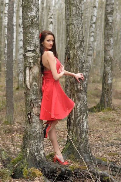 赤いドレスを着たブルネット — ストック写真