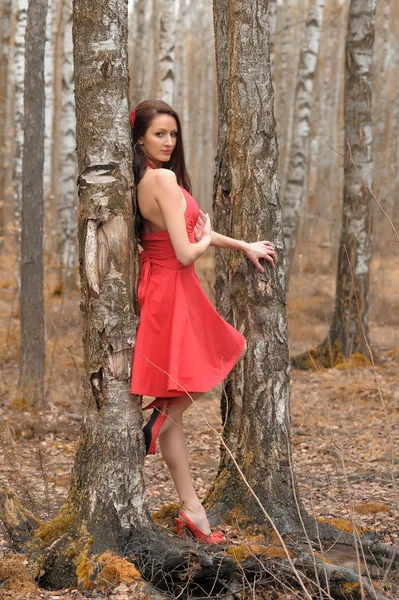 Brunette dans une robe rouge — Photo