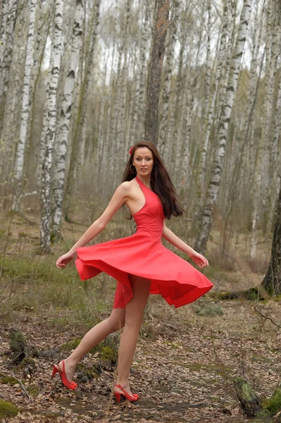 Brünette im roten kleid — Stockfoto
