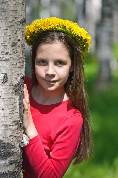 Flower crown — Stock Photo, Image