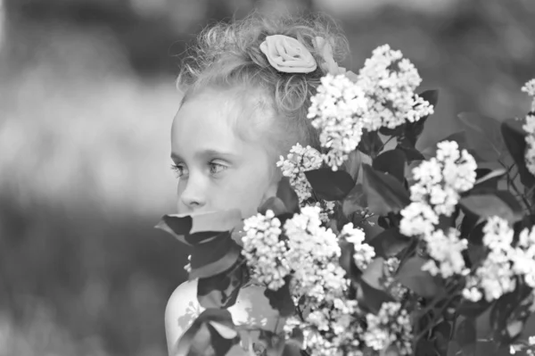 Chica con lila — Foto de Stock
