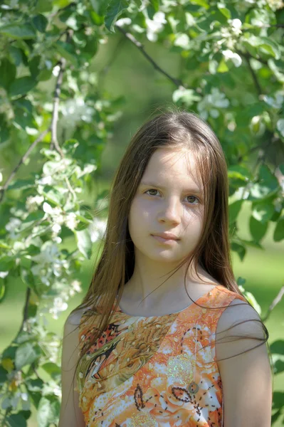 Flowering tree and girl — Stock Photo, Image