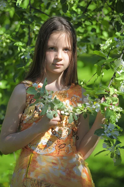 Blommande träd och flicka — Stockfoto