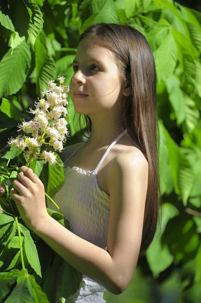 Floração árvore e menina — Fotografia de Stock