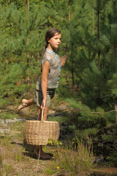 Girl with a basket in wood — Stock Photo, Image