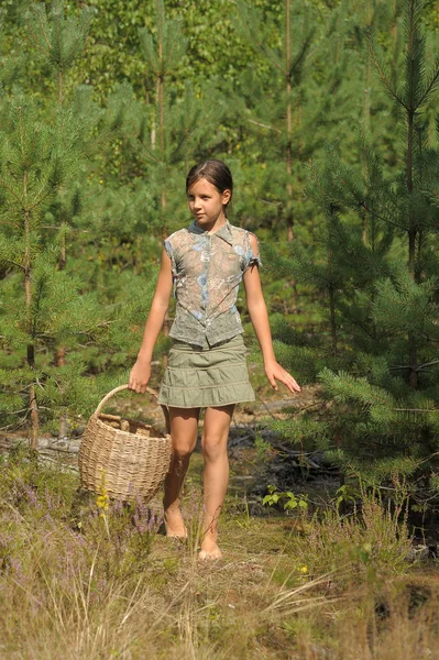 女孩提着一个篮子，收集在森林里的蘑菇 — 图库照片