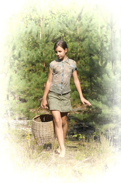 Menina com uma cesta para coletar cogumelos na floresta — Fotografia de Stock