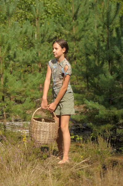 Dívka s košíkem sbírat houby v lese — Stock fotografie