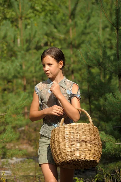 Menina com uma cesta para coletar cogumelos na floresta — Fotografia de Stock
