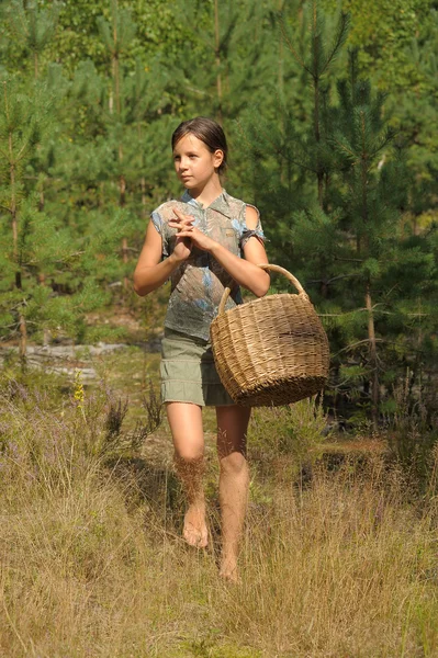 森のキノコを収集するバスケットを持つ少女 — ストック写真