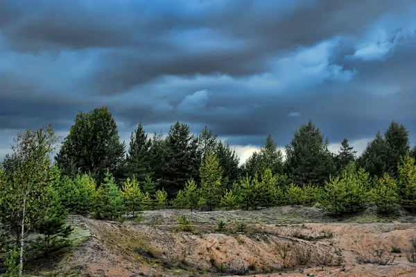 Tormentoso cielo oscuro sobre el bosque — Foto de Stock