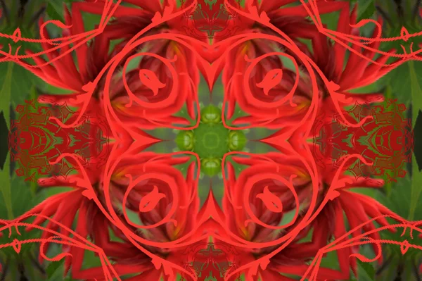 Mandala motif d'ornement rond — Photo