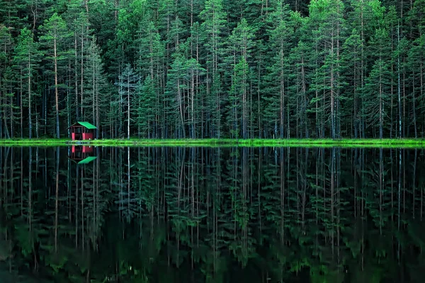Lago forestale — Foto Stock