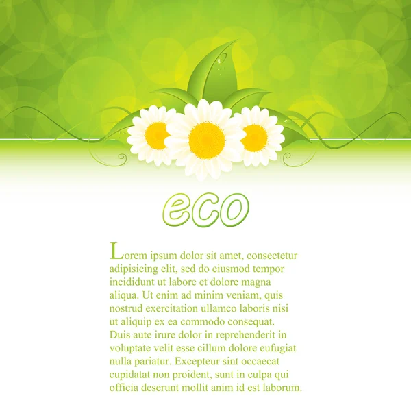 Зеленый эко-кадр — стоковый вектор