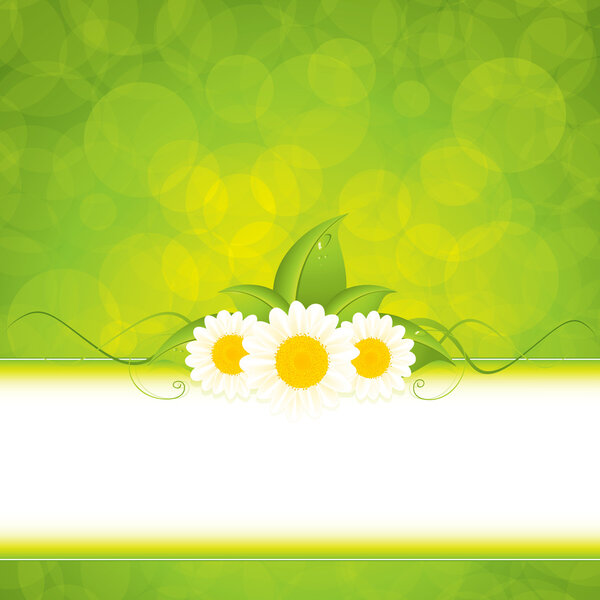 Зеленый эко-кадр
