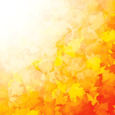 Autumn leaves background clipart