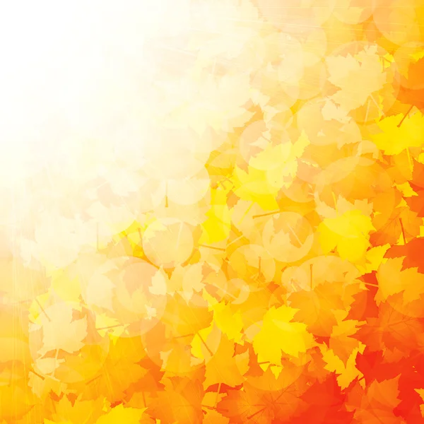 Efterårsblade baggrund – Stock-vektor