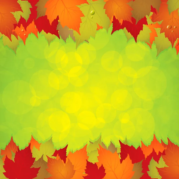 Herbstblätter rahmen ein — Stockvektor