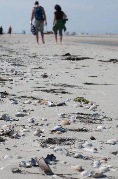 Promeneurs de plage — Photo