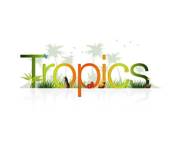 Tropikerna - semester — Stockfoto