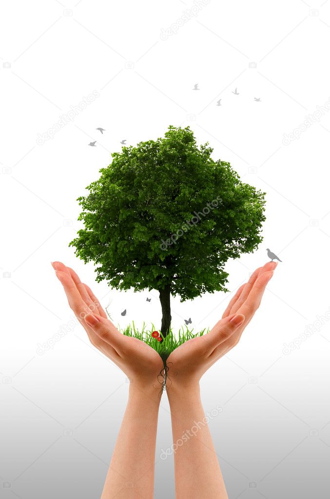 Tree alive - Hand