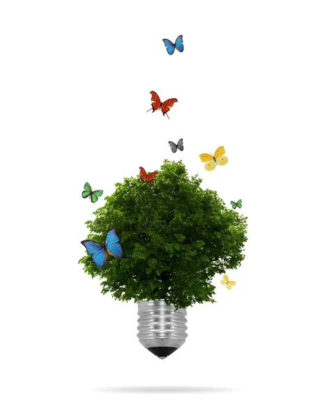 Эко-концепция: лампочка с растущим внутри деревом — стоковое фото