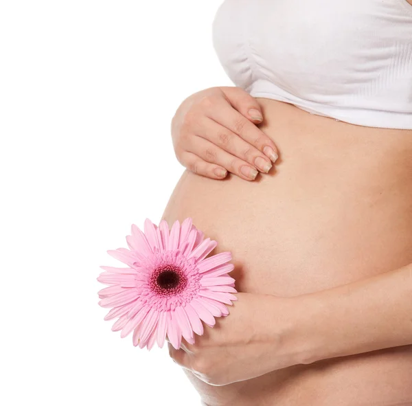 Těhotná žena s květinou — Stock fotografie