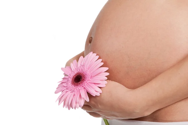 Těhotná žena s květinou — Stock fotografie