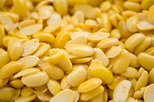 콩의 클로즈업 — 스톡 사진