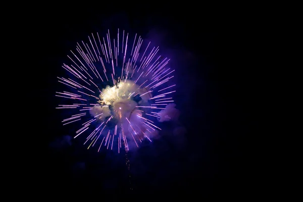 Een uitbarsting van paarse vuurwerk tegen een nachtelijke hemel. — Stockfoto