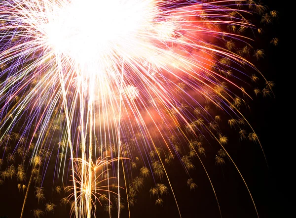 Een uitbarsting van vuurwerk tegen een nachtelijke hemel. — Stockfoto