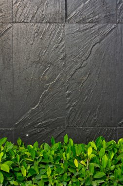 Black stone wall with green leaf in forground clipart