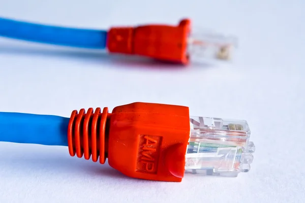 Cable de red sobre fondo blanco — Foto de Stock