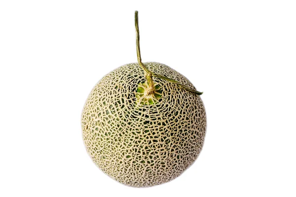 Melon z Japonii w izolacji — Zdjęcie stockowe