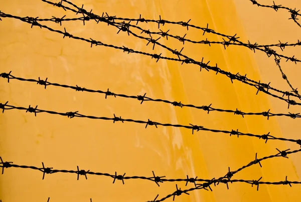 Barbed wire against a grungy old wall in sepia. — Stock Photo, Image